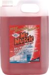 MR MUSCLE ALL-PURPOSE CLEANER 5LTR
