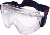 LION CLEAR GOGGLES CLEARACETATE LENS ANTI-FOG