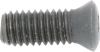 TT28349 INSERT SCREW