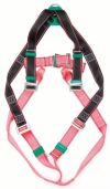 BODY HARNESS 2 POINT