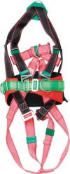 BODY HARNESS 2 POINT C/WBELT