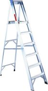 1202-005 1.17Mx1.66M PLATFORM LADDER