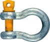 02278 SAFETY ANCHOR DEE SHACKLE SWL 6.50T C/W CERT